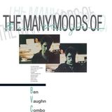 The Munster Records Ben Vaughn Combo - The Many Moods Of Ben Vaughn (LP)