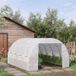 Serre de jardin - Tunnel de serre - 12 m² - 4 x 3 x 2 mètres - Châssis en acier - Film PE - Parois latérales enroulables - 8 fenêtres - Vert olive