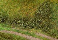 Faller Bladfoliage, zomergroen