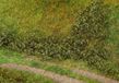 Faller Bladfoliage, zomergroen