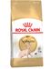 Royal Canin Breed Sphynx Adult Kattenvoer 10 kg