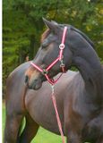 Kerbl Covalliero Halster Hippo Bordeaux/Beige Veulen