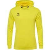 Hummel Polyester Hoodie Authentic