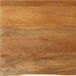vidaXL Tafelblad met natuurlijke rand 60x60x3,8 cm massief mangohout
