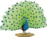Bullyland 69390 Speelfiguur Pauw