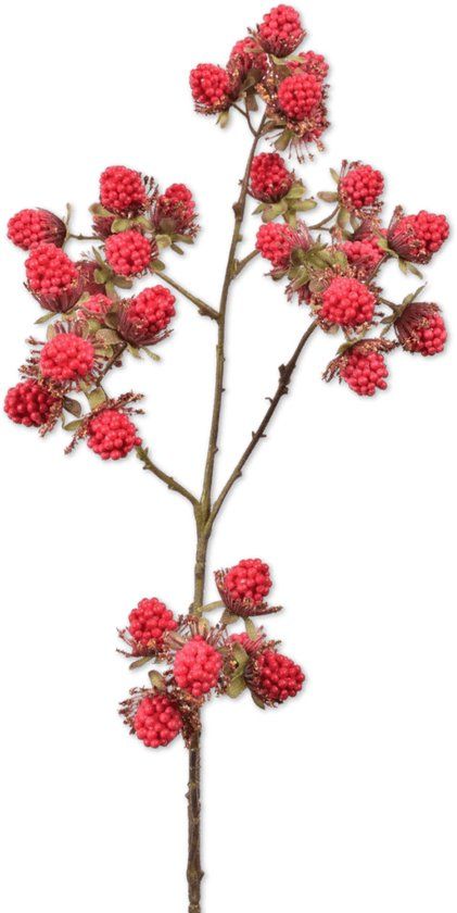 Viv! Home Luxuries Bramentak - Kunstbloem - Rood - 78cm