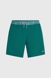 O'Neill Pocket Print 16'' Maillot de bain - Hommes - Vert - Taille : M