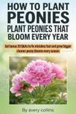How Bol How to Plant Peonies