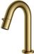 Hotbath Cobber Fonteinkraan - Opbouw - Geborsteld Messing PVD