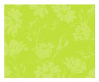 d-c-fix Rio Stella placemat, 29 x 44 cm, limoengroen