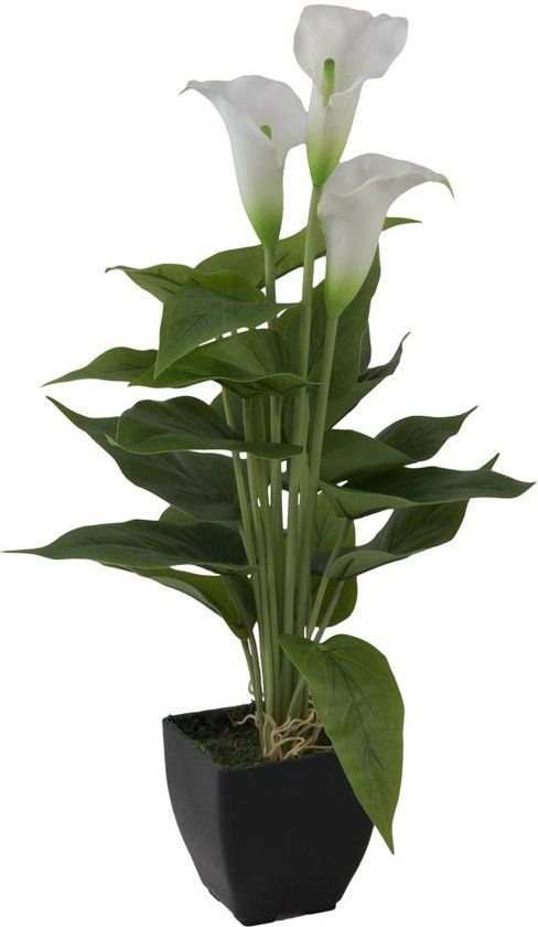 Europalms Mini Calla - wit - 43cm