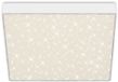 B.K.Licht BRILONER LED Plafonniere 7078-416 randloos met sterreneffect 29x29 cm neutraalwit wit