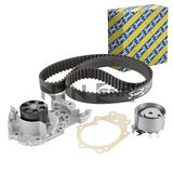 Tandriemen SNR Tandriemen set waterpomp (KDP455.460)