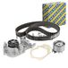 Tandriemen SNR Tandriemen set waterpomp (KDP455.460)