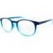 Protecfarma Protec Vision Rainbow Lunettes Bleu +3.5 DP 1pc