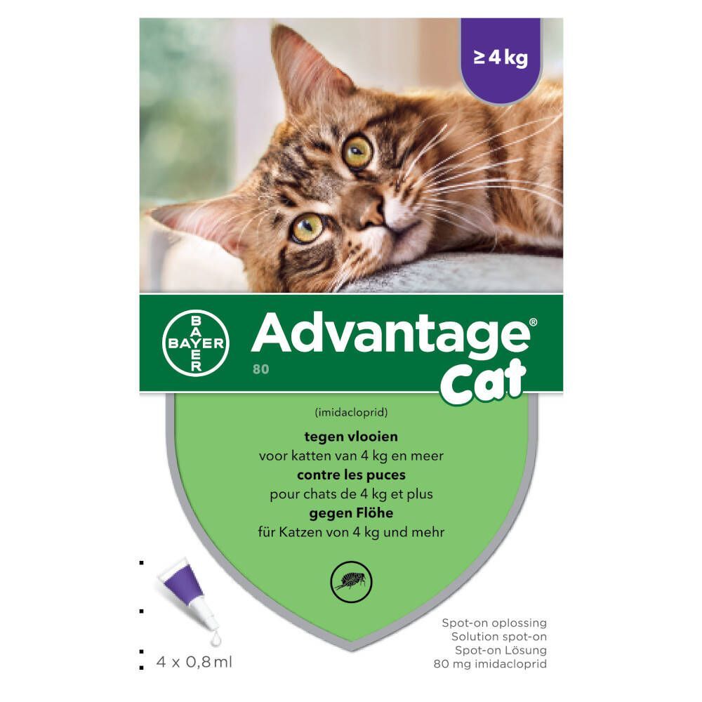 Bayer Advantage 80 Spot-On Oplossing Kat >4kg 4x0,8 ml