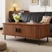 OKWISH Table basse – Moderne – aspect bois couleur noyer – 120 × 55 × 45 cm