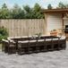 Prolenta Maison Exclusive Tuinset voor buiten, 17-delig, met kussens, bruin, van gevlochten polyraan