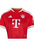 ADIDAS PERFORMANCE Tricot 'FC Bayern München 26/27' beige / rood / donkerrood / wit