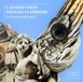 New Arts International Bv La Corte Degli Angeli: A Journey From Bologna To Kremsier