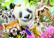 Educa Black Eyed Friends Selfie 300 stukjes dieren legpuzzel