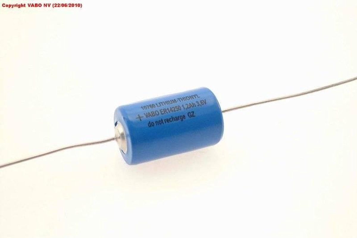 Bse 1/2AA 3.6V 1200mAh Axial Battery - 7106622326818