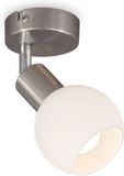 B.K.Licht Wandspot - Plafondspot met 1 lichtpunt - Draaibaar - Glas en Metaal - Nikkel-mat