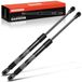 Frankberg 2 x gasveer demper achterklep kofferbak compatibel met Sportage JE KM 2.0L 2.7L SUV 2004-2021 vervanging # 81770-1F010