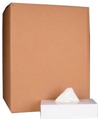 Merkloos Papieren zakdoek, 2-laags, 100 tissues per doos, pak van 40 doosjes
