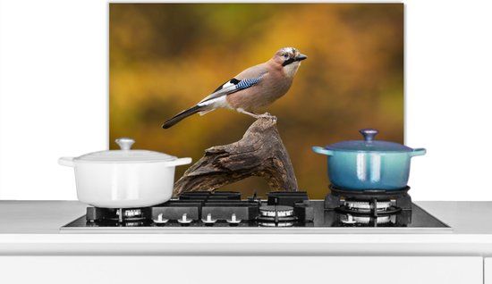 KitchenYeah Spatscherm keuken 60x40 cm - Kookplaat achterwand Vogel - Tak - Vlaamse gaai - Muurbeschermer - Spatwand fornuis - Hoogwaardig aluminium