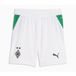 PUMA Sportbroek 'Borussia Mönchengladbach 26/27' groen / zwart / wit