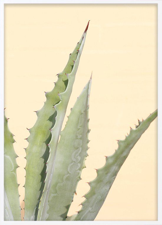 Posterdeco Poster Met Witte Lijst - Abstracte Cactus Poster - Hout - Rechthoek - 30x40 cm