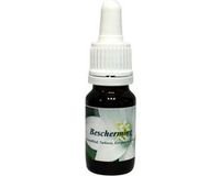 Star Remedies Protection 10 ml