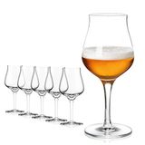 Sahm Bierglazen - Set van 6 - 420 ml - Sensorische Bierglazen