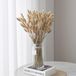 60 Pièces Fleurs Séchées Naturelles pour Décoration Bohème