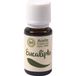Huile essentielle d'eucalyptus Solnatural 15ml