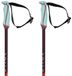 Völkl Volkl Phantastick 18mm Ski Poles Pink 115 cm