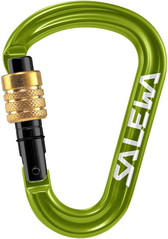 SALEWA HMS Pro Carabiner - fluo green - 4053866311458