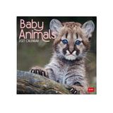 LEGAMI Dieren - Babydieren kalender 2027