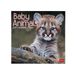 LEGAMI Dieren - Babydieren kalender 2027