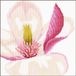 Lanarte Borduurpakket - Magnolia bloem - 20 x 20cm