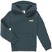 Puma ESS 2 COLOR Small No. 1 Logo Hoodie FL