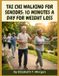 Tai Libri GmbH Tai Chi Walking for Seniors