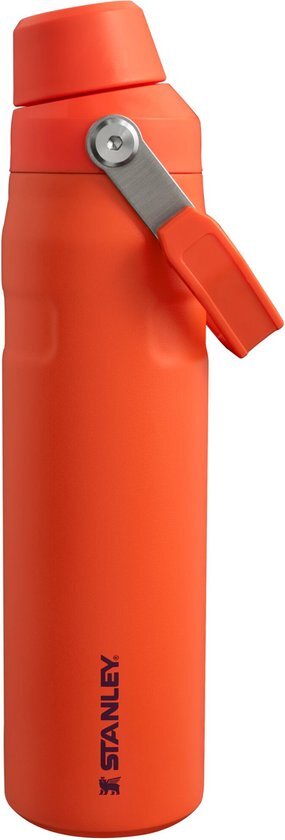 Stanley - drinkfles- The Aerolight™ IceFlow™ Water Bottle Fast Flow - 600ml - Tigerlily Plum