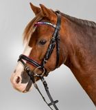 WALDHAUSEN STAR HOOFDSTEL PINKY Zwart