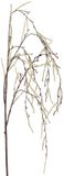 Merkloos Countryfield Kunsttak treur/hang Corylus XL creme