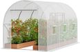 VEVOR Kas met inloop, afmetingen 2,9 x 1,95 x 1,9 meter, verzinkt frame, PE-afdekking, wit