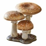 LOBERON Sierpaddenstoelen Harvelle bruin