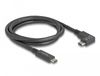 DeLOCK 80037 Câble USB-C 1m Noir