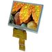 Display Elektronik Grafisch display Wit 800 x 480 Pixel